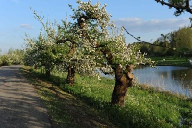 Bed & Breakfast De Neust Beesd Екстериор снимка